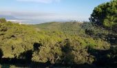 Tocht Trail La Seyne-sur-Mer - fabregas, notre dame de mai par la DFCI 909, puis plage de fabregas  - Photo 4