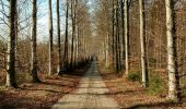 Trail Walking Voeren - la commanderie  - Photo 6