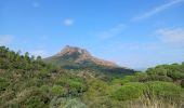 Trail Walking Roquebrune-sur-Argens - Circuit de l'eau Les Cavalières, La Maurette - Photo 1