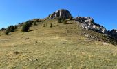 Trail Walking Valdeblore - La Colmiane : Mont Peipori - Photo 7