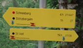 Tocht Te voet Sankt Veit im Pongau - Urpass-Stötzlbergalm-Hochegg - Photo 5