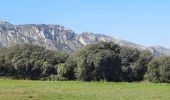 Tour Wandern Saint-Rémy-de-Provence - CR_Domitia_BB_24_St-Remy-Provence_Orgon_20220405 - Photo 7