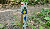 Trail Walking Beaufort - 2021-07-05_20h10m00_gpx-file (1) - Photo 4