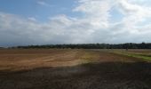 Tocht Stappen Montmain - 20220915-Montmain  - Photo 4