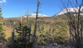 Tour Wandern Corrençon-en-Vercors - Correncon 9-11-21 - Photo 1