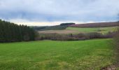 Trail Walking Bastogne - Lutrebois 150224 - Photo 6