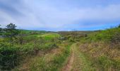 Tour Wandern Doische - Balade de Doische à Foisches - Photo 11