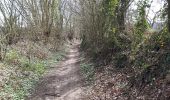 Excursión Senderismo Villers-la-Ville - Le Huit du Footvillers - Photo 3