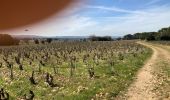 Percorso Marcia Sorgues - Balade dans les vignes de Châteauneuf-du-Pape - Photo 1