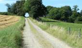 Trail On foot Dinant - Promenade les Cascatelles - Photo 1