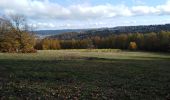 Tocht Stappen Luik - liège - angleur  - Photo 14