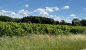 Percorso Bici ibrida Vendays-Montalivet - Montalivet - Queyrac - Phare de Richard - Photo 14