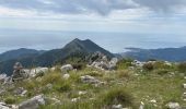 Trail Walking Castellar - Grammondo depuis Castellar - Photo 4