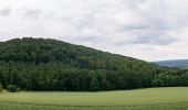 Trail On foot Beverungen - Weserhöhen-Wanderung 