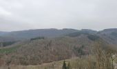 Tour Wandern La Roche-en-Ardenne - rando warempage 10/12/2020 - Photo 2
