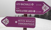Trail Walking Les Avanchers-Valmorel - Valmorel par l'Ormay - Photo 5