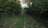 Tour Mountainbike Wirten - Verneuil-Petit (France) - Balade_VTT_30kms - Photo 20