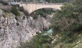 Tour Wandern Aniane - Pont du diable - Eglise Saint-Sylvestre - Lavene (Puéchabon) - Pioch de la Bastide - Photo 4