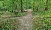 Trail Walking Vendôme - Vendôme Bois de l'Oratoire Circuit 1 - Photo 16