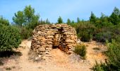 Trail Walking Le Castellet - Trace_Ste_Anne - Photo 3