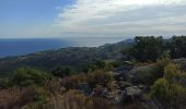 Tocht Stappen Argelès-sur-Mer - massane - Photo 17