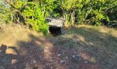 Randonnée Marche Varaire - 9 - Varaire : les dolmens - Photo 1