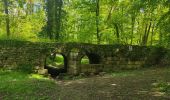 Trail Walking Longjumeau - Le pont des templiers  - Photo 4