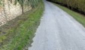 Tocht Stappen Moigny-sur-École - Autour du Château de Courances - Photo 14