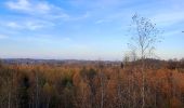 Trail Walking La Louvière - A travers les terrils - Saint Vaast - Bois du Luc - Photo 3