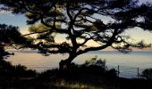 Trail Walking Bandol - Boucle Bandol - Port d'Alon - Dune de sable - La Madrague - Port d'Alon - Bandol - Photo 16