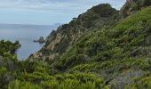 Tocht Stappen Hyères - Rando Porquerolle - Photo 2