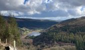 Tocht Stappen The Municipal District of Wicklow - Glendalough  - Photo 10