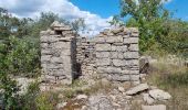 Trail Walking Saint-Paul-le-Jeune - Sentier des dolmens - Photo 3