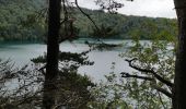 Trail Walking Besse-et-Saint-Anastaise -  Boucle Besse, lac pavin, Besse  - Photo 6