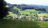 Tour Zu Fuß Abtsteinach - Rundwanderweg Steinachquelle 4: Götzenstein-Weg - Photo 4