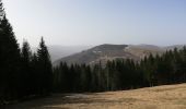 Trail Walking La Bresse - 24022021 La Bresse Lac des corbeaux - Photo 10