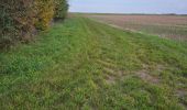 Trail Walking Amponville - Amponville - Dolmen dit la Pierre Larmoire - Photo 13