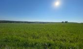 Randonnée Marche Libramont-Chevigny - Vesqueville - Photo 2