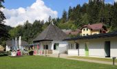 Tour Zu Fuß Lunz am See - Lunz am See - Maierhöfen und weiter - Photo 6