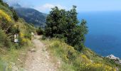 Trail On foot Pimonte - (SI S20S) Faito - Colli di Fontanelle - Photo 7