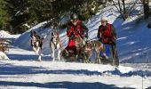 Tocht Te voet Schleusingen - Panoramaring - Photo 5