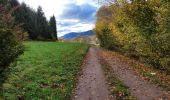 Tocht Stappen Vieux-Moulin - Vieux-Moulin 