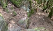 Trail Walking Taintrux - Marche 09-07-22 18Km - Photo 7
