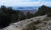 Trail Walking Toulon - Le Faron 12 km-09-04-21 - Photo 3