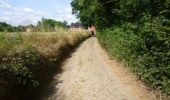 Trail On foot Bierbeek - Sint-Ermelindiswandelpad - Photo 5