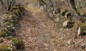 Trail Walking Castellet-en-Luberon - St Martin de Castillon - Caseneuve - Photo 7