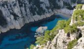 Excursión Senderismo Cassis - Calanques de CASSIS  port miou en vau port pin la cacau - Photo 4