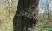 Tour Zu Fuß Unbekannt - O Rund um Stiepel - Photo 9