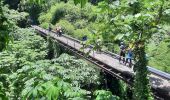 Trail Walking Basse-Pointe - boucle basse pointe - Photo 1