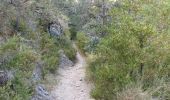 Trail Walking Charens - Montagne de Tarsimoure - Charens  - Photo 14
